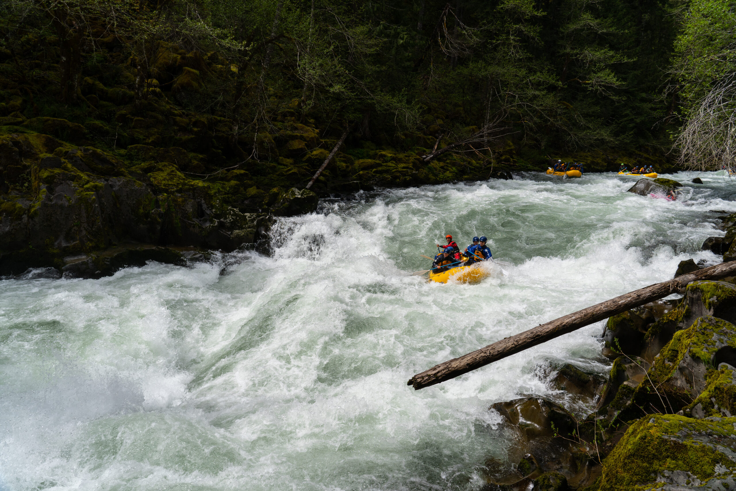 Whitewater rafting the Wind River