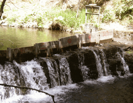 Irrigation dam in Buck Creek
