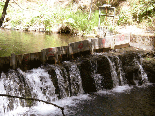 Buck Creek currently blocks 67% of the riverbed for upstream fish passage.