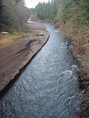 Buck Creek flows from the left side into the White Salmon River. Photos courtesy of Heather Herbeck.