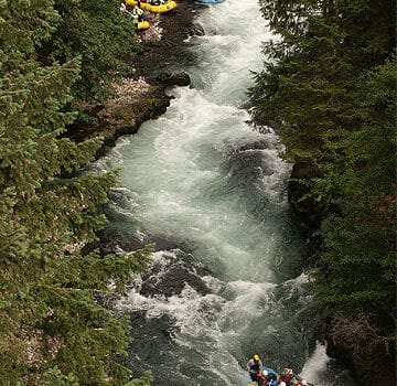 People rafting down a narrow river
