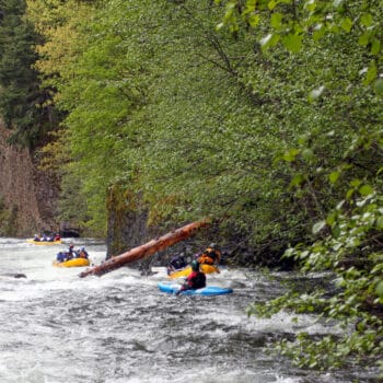 Three rafts and two kayakers on a class V rafting trip paddle past towering cliff walls on a Hood River rafting trip.