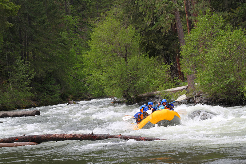 Rapids on the Klickitat River. Wet Planet Whitewater