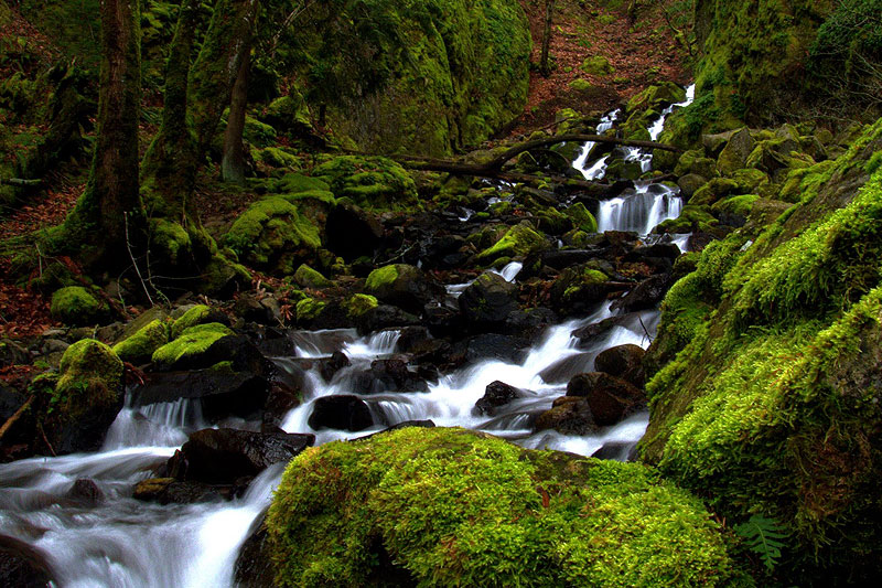 Starvation Creek near Viento State Park, a Columbia River Gorge Campgound