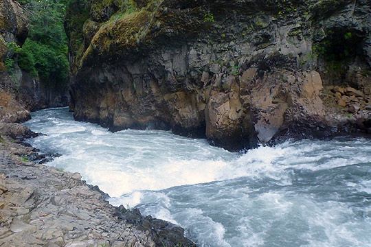 Steelhead Falls in the Narrows of the White Salmon River