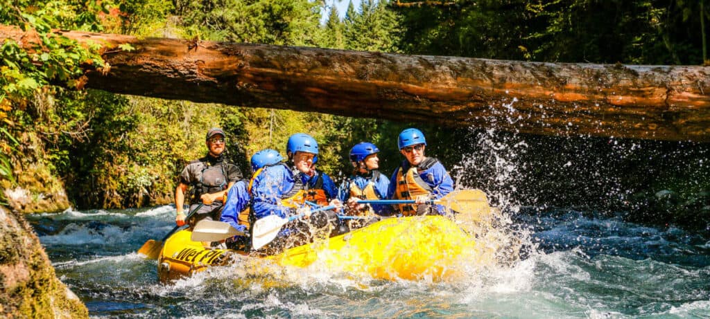 a group of people rafting under a large tree that has fallen across the white salmon river