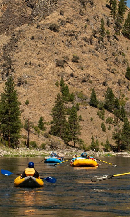 several rafts float down the Salmon River headed toward a mountain Wet Planet Whitewater in Washington Oregon Idaho