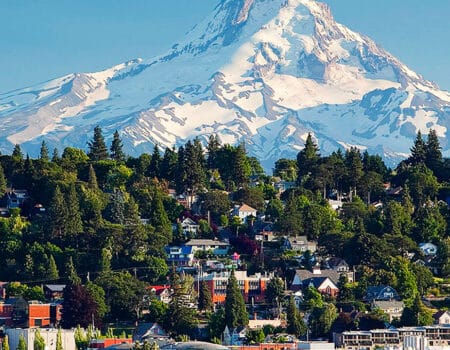 Homes and lodging options between green trees with snow capped mountain in the distance. Wet Planet Whitewater in Washington, Idaho, Oregon