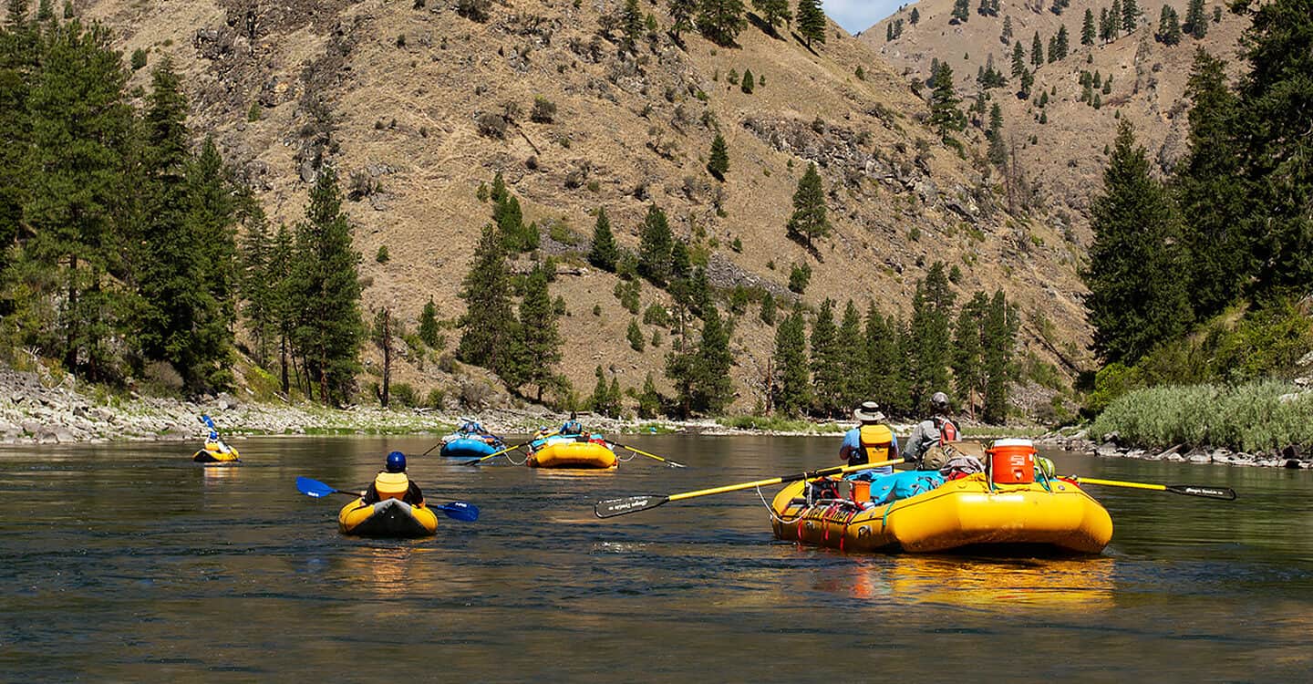 A group of rafts and inflatable kayaks float in front of beautiful canyon scenery on a Main Salmon River rafting trip in Idhao