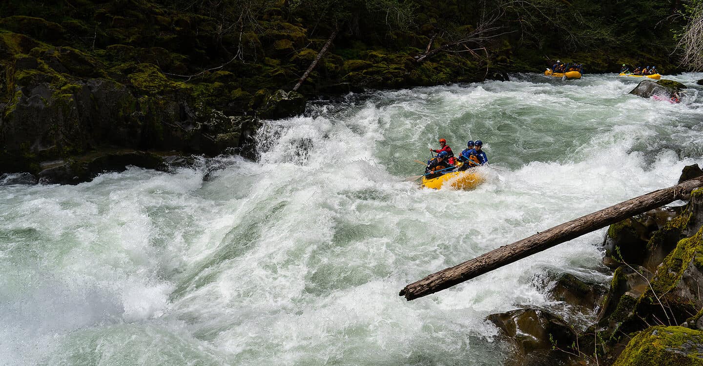 A group of rafters paddle through a large raft on a class V rafting trip in Washington.